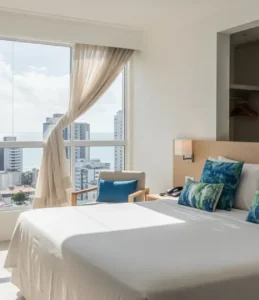 Veja 3 hotéis para cachorro em Fortaleza – CE